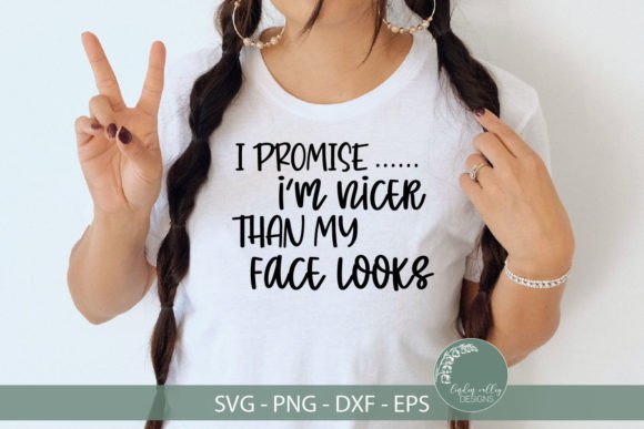 Nicer Than My Face Looks Graphics for Crafts